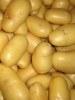 Картопля Мінерва (3 кг)