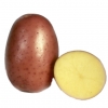 Картофель Белароса (2,5кг)