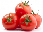 Насіння полудетермінантних томатів