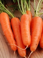 Морква без серцевини