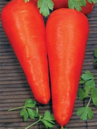 Морква Незрівнянна