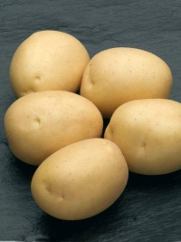 Картопля Гранада (3 кг)