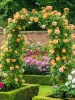 Складна арка для троянд і плетистих рослин 72F