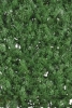 Декоративное зеленое покрытие Туя