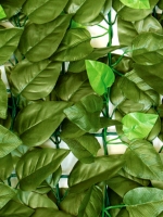 Декоративне зелене покриття Молоде листя