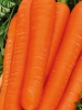 Морковь Нантес