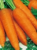 Морковь Ласуня