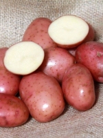 Картопля Роко (3 кг)
