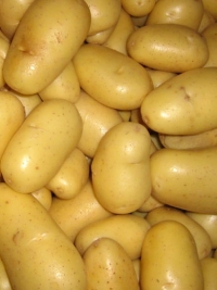 Картопля Мінерва (3 кг)