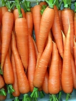 Морква Вітамінна