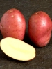 Картопля Рудольф (2,5кг)