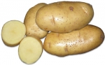 Картопля середня